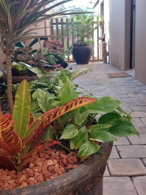 Hide Away On 21 Apartman Mossel Bay Kültér fotó